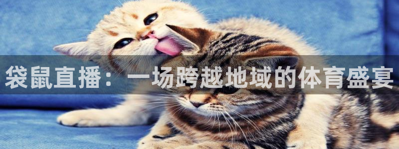nba河豚体育直播：袋鼠直播：一场跨越地域的体育盛宴