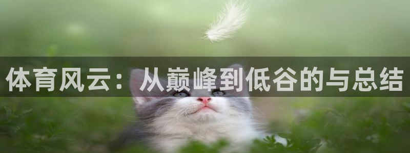 河豚面：体育风云：从巅峰到低谷的与总结