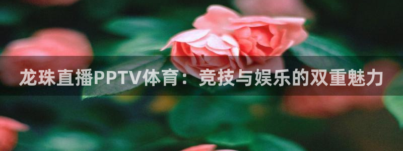 河豚直播nba：龙珠直播PPTV体育：竞技与娱乐的双重魅力