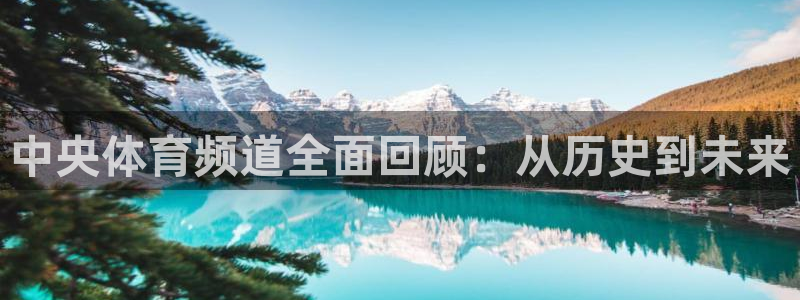 河豚直播体育app下载：中央体育频道全面回顾：从历史到未来