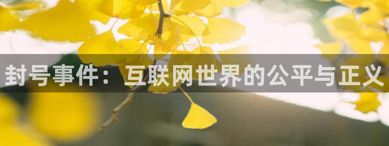 河豚体育直播：封号事件：互联网世界的公平与正义