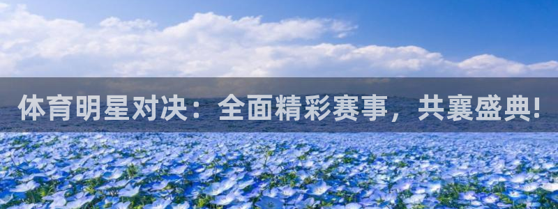 河豚nba直播免费高清在线：体育明星对决：全面精彩赛事，共襄盛典!